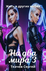 Обложка книги На два мира 3