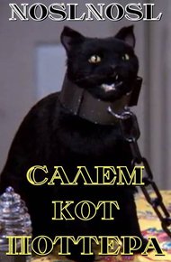 Обложка книги Салем кот Поттера