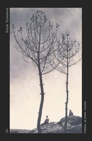 Обложка книги Собака за моим столом