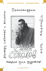 Обложка книги Школа для дураков. Между собакой и волком. Палисандрия. Эссе. Триптих