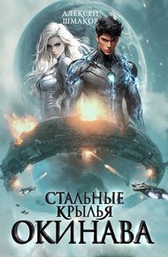 Обложка книги Окинава 2
