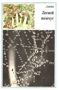 Обложка книги Лесной жемчуг