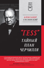 Обложка книги «ГESS». Тайный план Черчилля