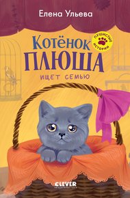 Обложка книги Котенок Плюша ищет семью