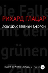 Обложка книги Ловушка с зелёным забором