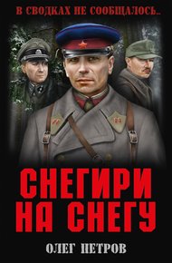 Обложка книги Снегири на снегу