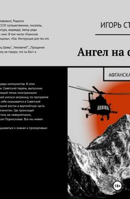 Обложка книги Ангел на фюзеляже