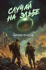 Обложка книги Случай на Эльбе