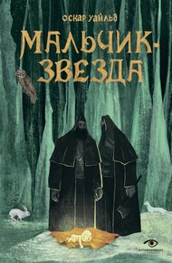 Обложка книги Мальчик-Звезда