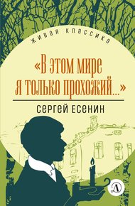 Обложка книги В этом мире я только прохожий…