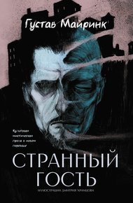 Обложка книги Странный гость