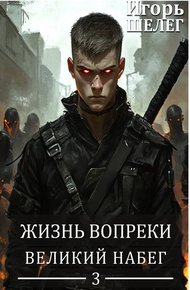 Обложка книги Великий Набег