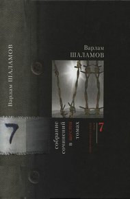 Том 7 (дополнительный)