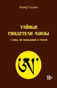Обложка книги Тайные свидетели Азизы. Главы, не вошедшие в роман