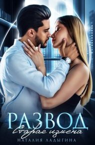 Обложка книги Развод. Старая измена