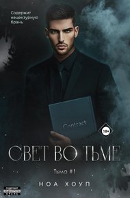 Обложка книги Свет во тьме